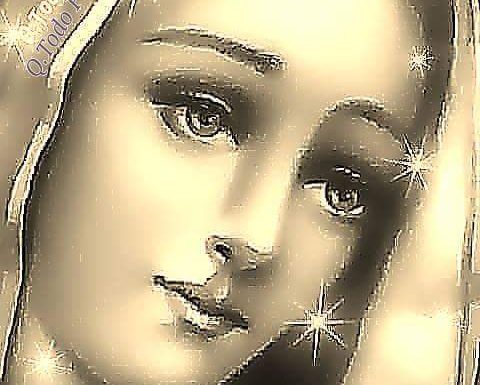 La Vergine testimonia il  Cristo – Gv 21, 25